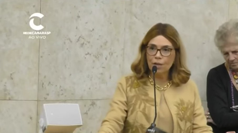 Vereadora se desculpou após a fala Vereadora se desculpou após a fala