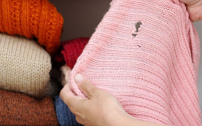 Descubra o segredo de como acabar com as traças do guarda roupa