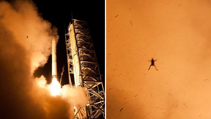 Sapo “voa” após lançamento de foguete da NASA