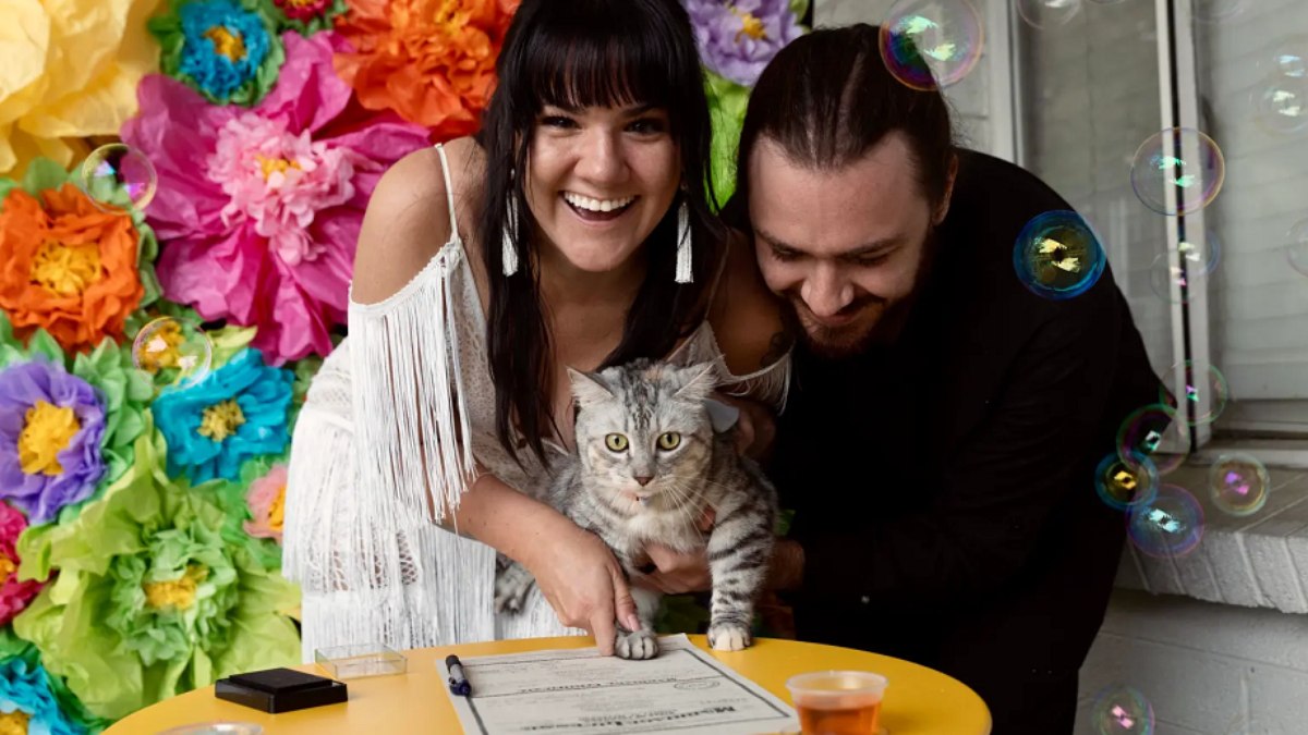 Casal praticou assinatura da felina antes de colocar a pata de Momo no documento oficial