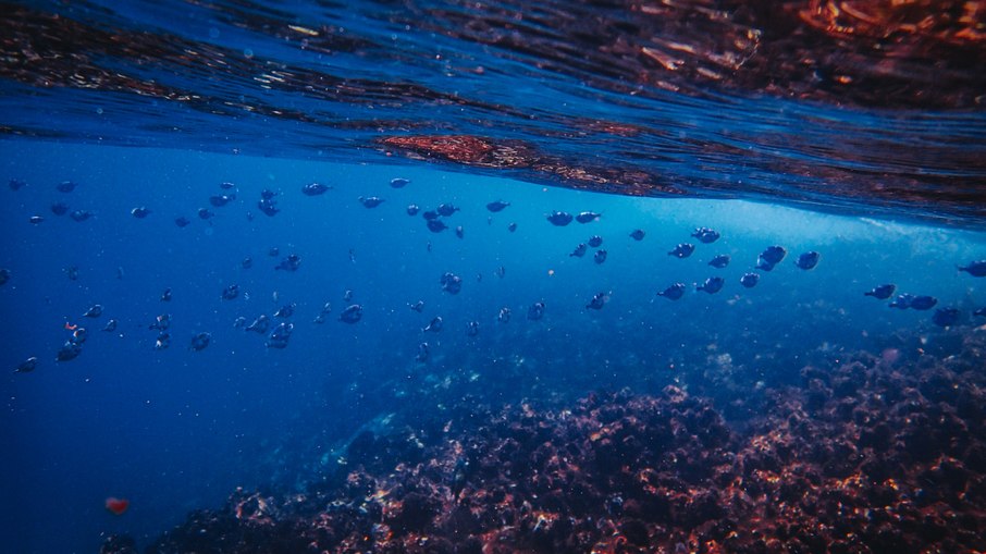 Oceano