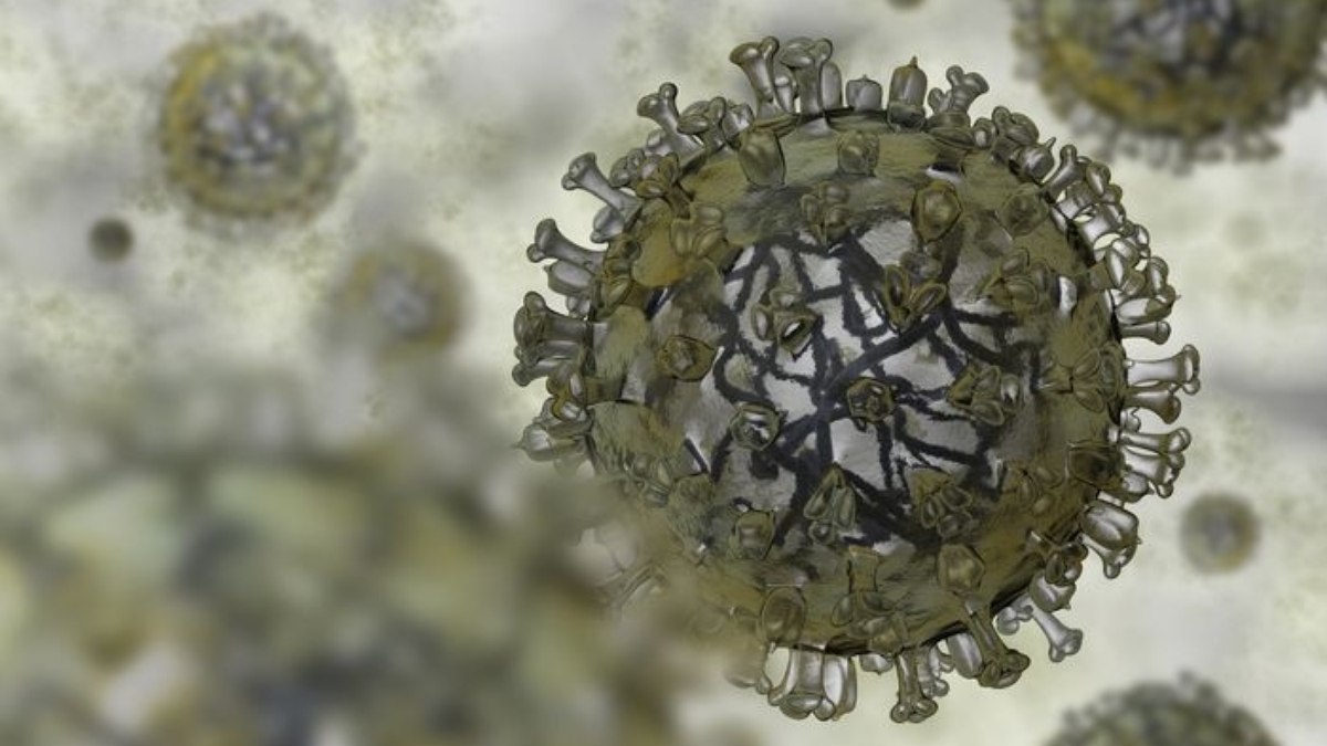 In den Vereinigten Staaten nehmen die Fälle von Vogelgrippe beim Menschen zu