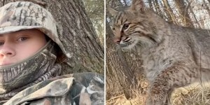 Homem é atacado por felino selvagem durante caça; assista