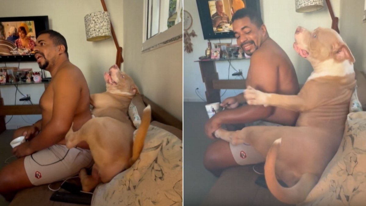 Cachorro usa o ‘vovô’ como esconderijo para escapar da bronca