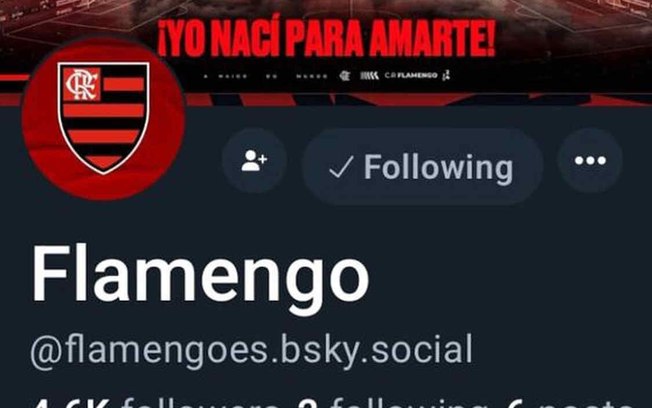 Flamengo abriu a sua conta na Bluesky e já começou a fazer postagens 