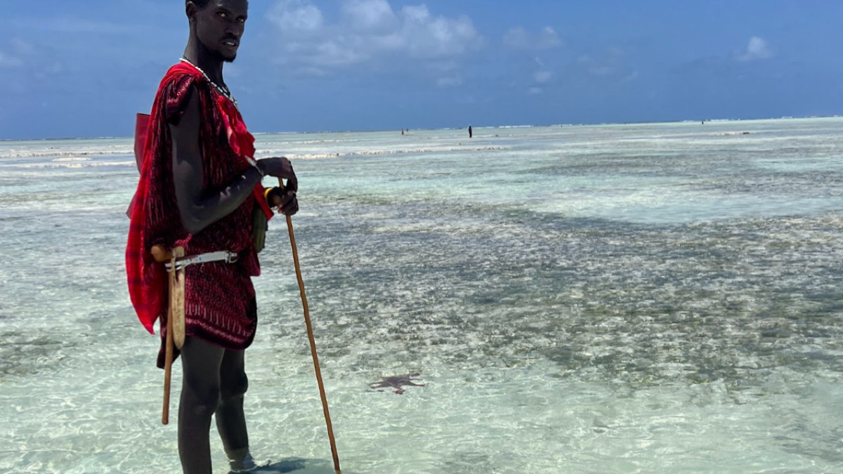 Praia em Zanzibar, um paraíso! Praia em Zanzibar, um paraíso!