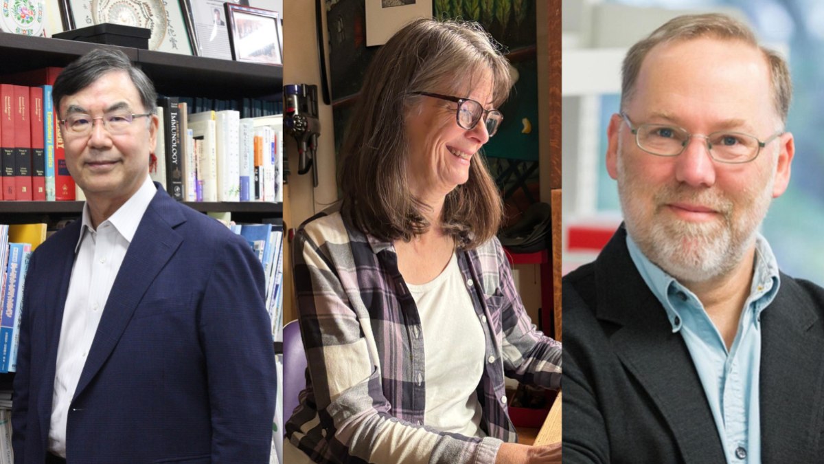 Shimon Sakaguchi, Mary E. Brunkow e Fred Ramsdell Shimon Sakaguchi, Mary E. Brunkow e Fred Ramsdell