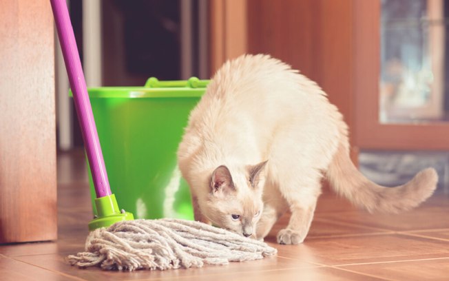 5 dicas de limpeza para casas com animas de estimação