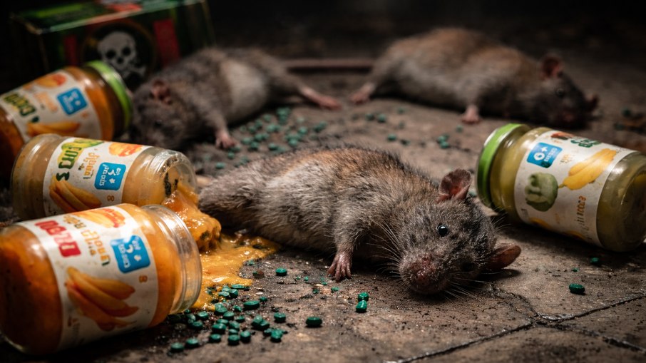Alimento infantil é contaminado com veneno e causa alerta Alimento infantil é contaminado com veneno e causa alerta