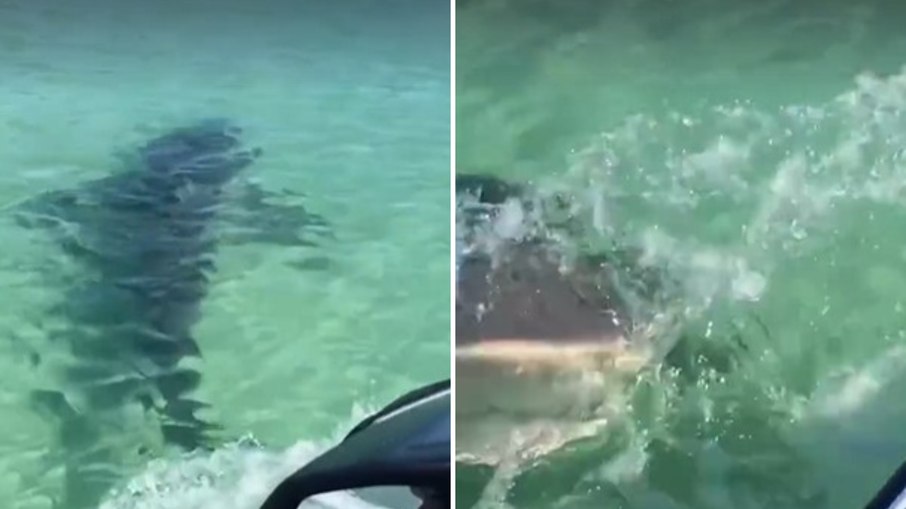 Vídeo impressionante mostra tubarão atacando jet ski Vídeo impressionante mostra tubarão atacando jet ski