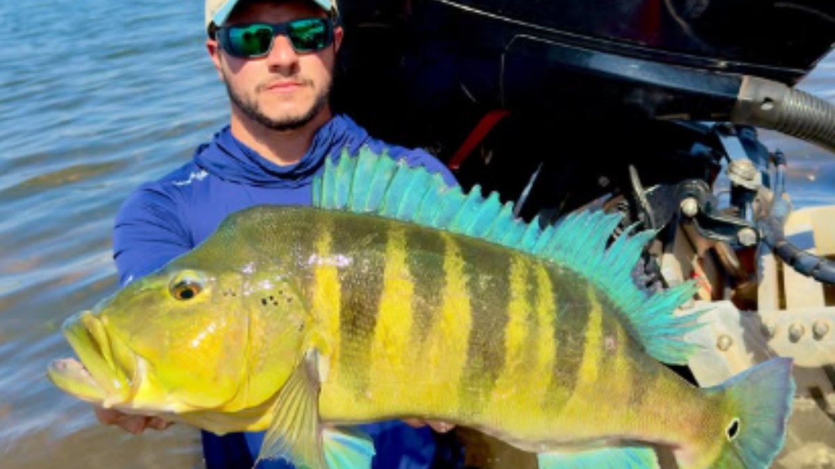 Pescador bate recorde de maior Tucunaré Azul no Rio Paranaíba