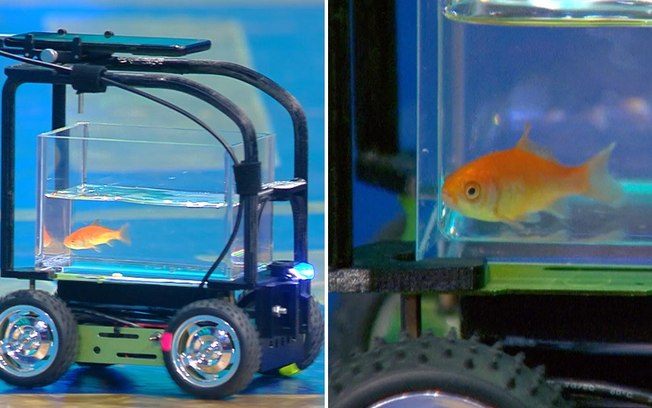 1usxlh57p03ii8kyrwyllsv31