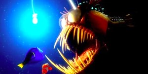 Diabo Negro: conheça o misterioso peixe das profundezas oceânicas