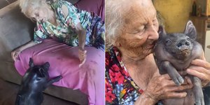 Idosa emociona ao mostrar rotina com porco deficiente
