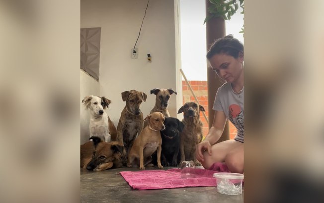 <div>Pets ficam "hipnotizados" ao ouvir experimento social da tutora</div> 1veq4o4ii6ubih56cha6dy19f