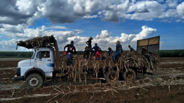 MPT resgata 22 pessoas de trabalho escravo em Batatais (SP)