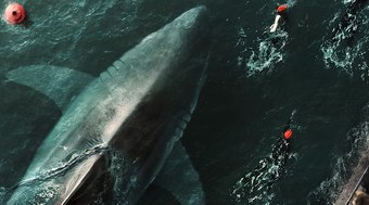 Filme sobre tubarão no Rio Sena irrita comunidade científica