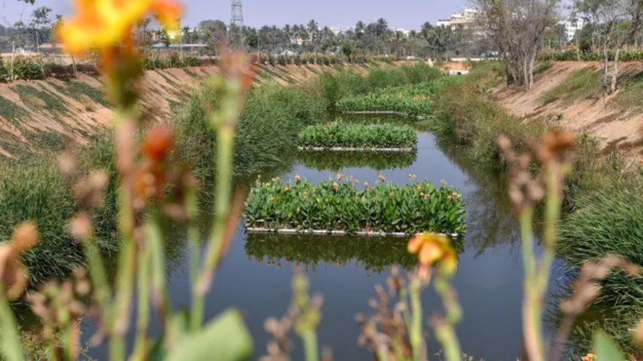 Criança foi morta em lago com jacarés