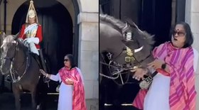 Vídeo: cavalo da Guarda Real morde turista 