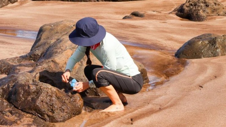 ES: Ilha da Trindade tem águas contaminadas por microplásticos