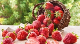 Frutas apresentam aumento nos preços; veja lista