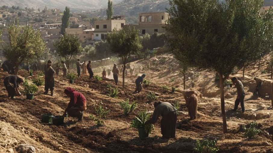 A guerra encontrou os agricultores em diferentes momentos de sua produção