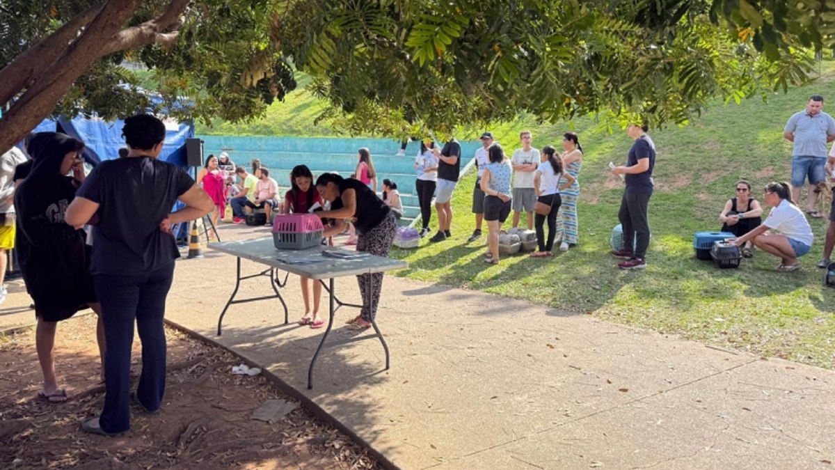 Castração auxilia para reduzir ninhadas indesejadas Castração auxilia para reduzir ninhadas indesejadas