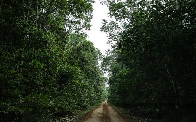 Estrada reformada por Ivo Cassol em 2008 passa por Área de Proteção Permanente em direção à vila onde o político tem fazenda