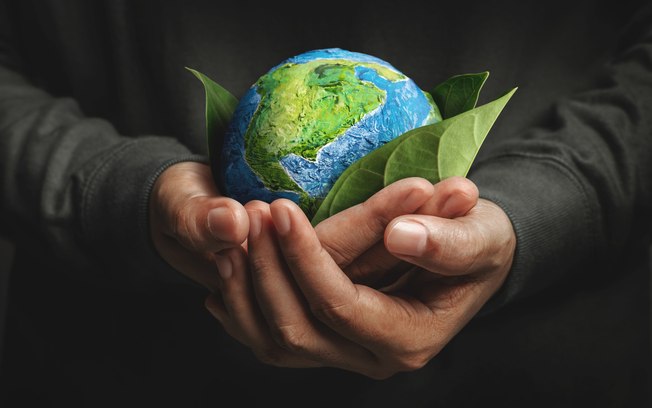 Consciência ambiental representa o respeito à integridade do meio ambiente