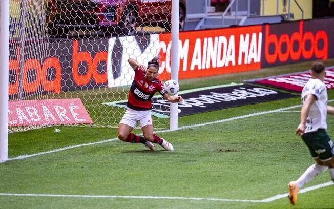 Foto: Reprodução/Flamengo e Palmeiras