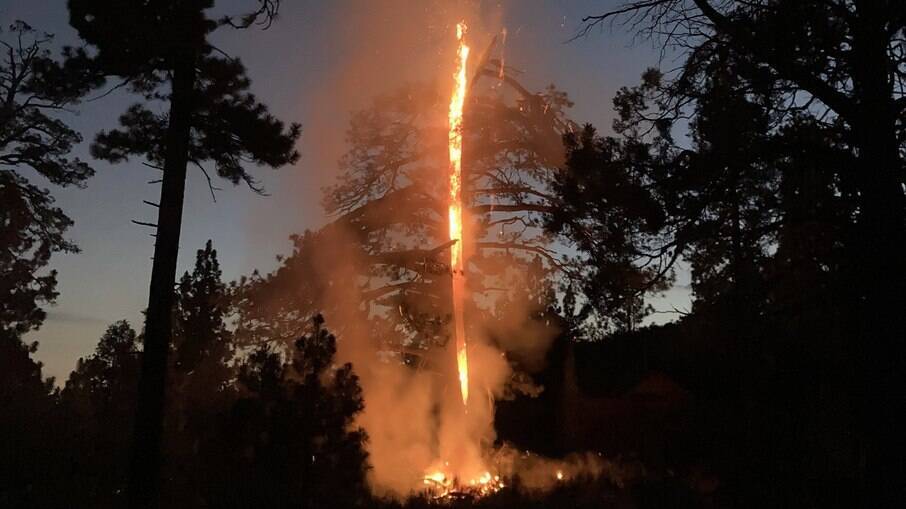 Árvore ficou em chamas após tempestade