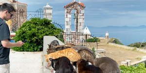 Ilha na Grécia receberá turistas de graça para cuidar de gatos