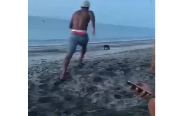 Vídeo de homem que tenta chutar cachorro tem final inusitado