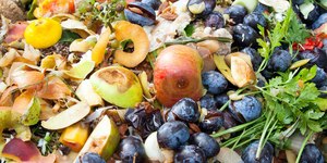 Campanha busca engajamento para reduzir desperdício de alimento