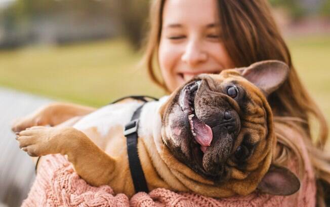 Uma boa educação do pet resulta na boa relação entre cachorro e dono