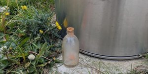Lago mortal transforma animais em “pedra”