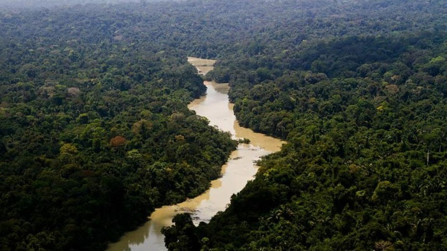 Arquivo: Amazônia vista de cima