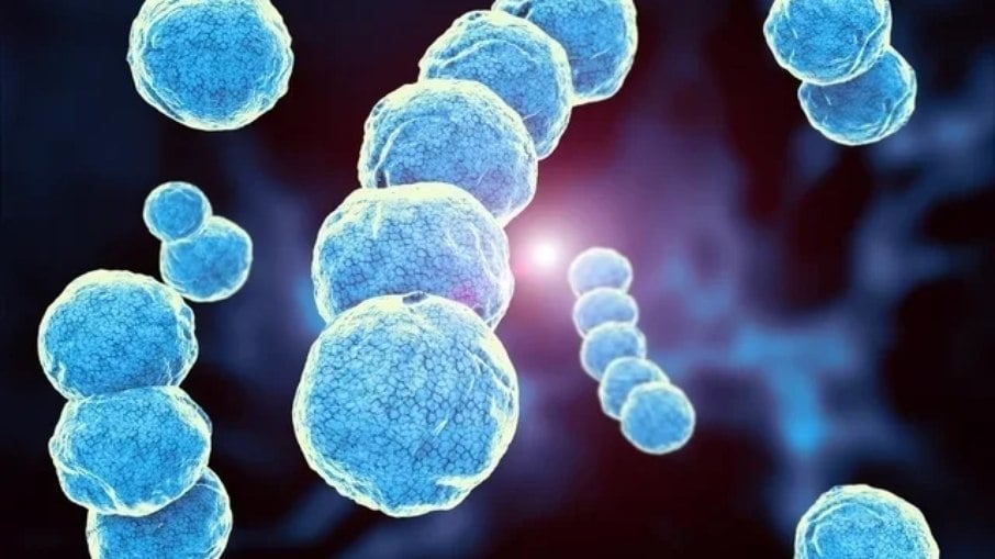 A bactéria streptococcus A, que provoca escarlatina e amigdalites, já causou a morte de 16 crianças no Reino Unido. 