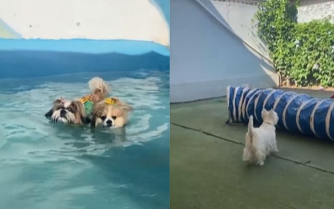 1y4on11r1d26wgi09lmwc7dwk