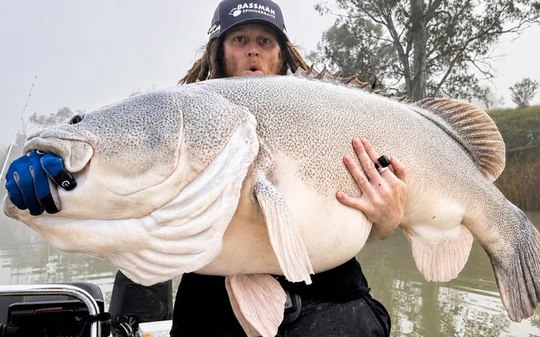 Pescador "fica nas nuvens" após recorde com bacalhau de 1,34m