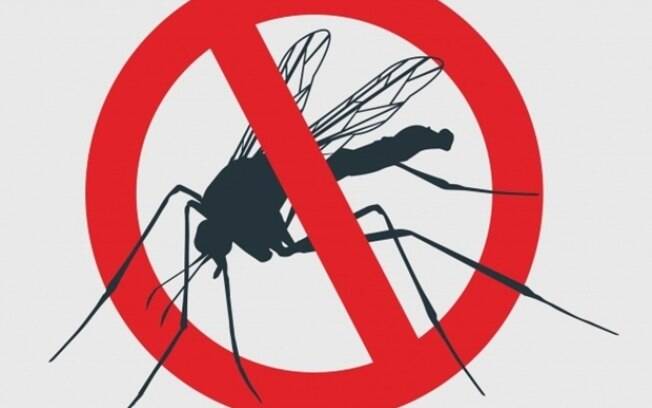 Ministério da Saúde lança campanha contra mosquito da dengue