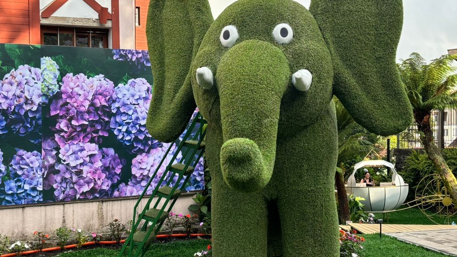 Rua de Gramado ganha parque inspirado no Miracle Garden de Dubai