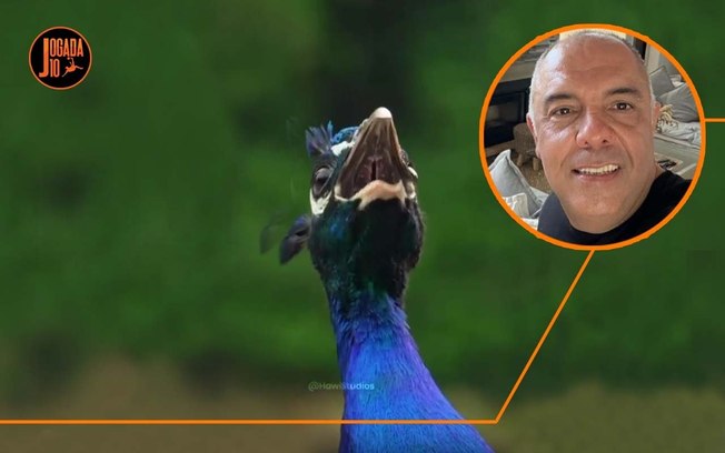 Postagem de Marcos Braz Postagem de Marcos Braz