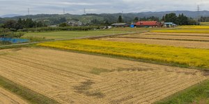 Agricultores passam a trabalhar à noite para driblar calor; vídeo