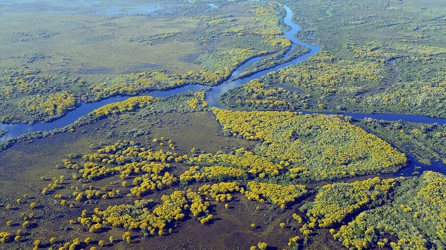 Visão panorâmica do Pantanal 