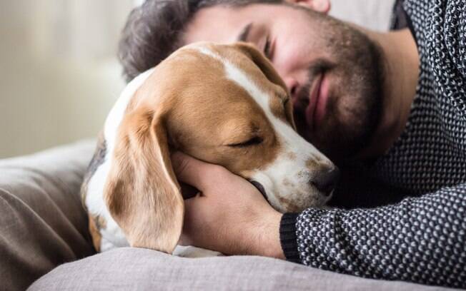 Estudo aponta que ter cachorro de estimação faz dono mais feliz do que gato