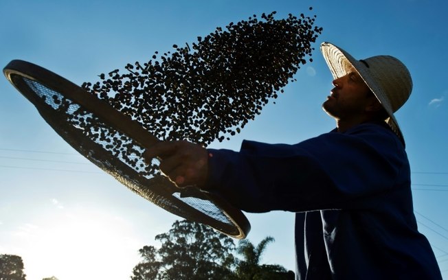 Nesta foto de arquivo, tirada em 6 de agosto de 2015, um trabalhador seca grãos de café orgânico produzidos na fazenda ambiental Fortaleza em Mococa, a cerca de 300 km ao nordeste de São Paulo, no Brasil