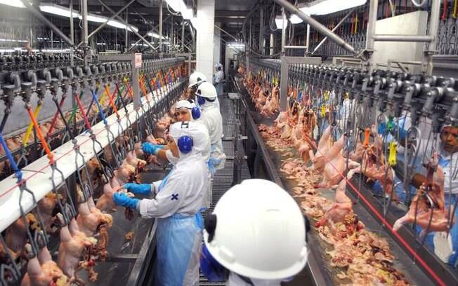 Quatro plantas industriais da BRF estão sendo investigadas , sendo duas de frangos, uma de perus e uma de rações