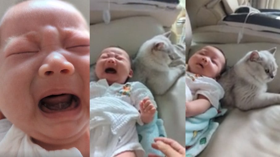 Gato faz papel de babá ao fazer bebê se acalmar em vídeo 