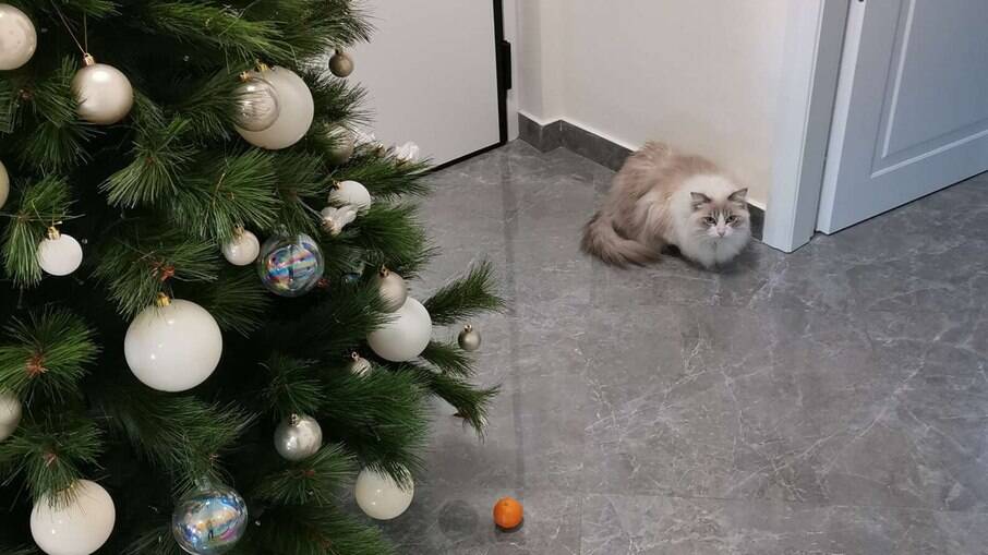 O medo inexplicável de Victor o impede de destruir a árvore de Natal da família.